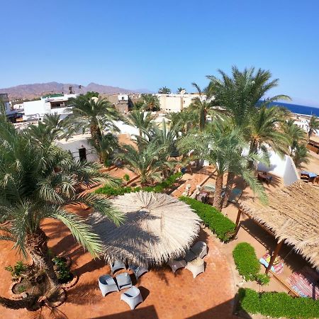 Miramar Camp Dahab Hotel Exterior photo