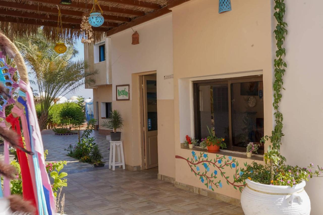 Miramar Camp Dahab Hotel Exterior photo