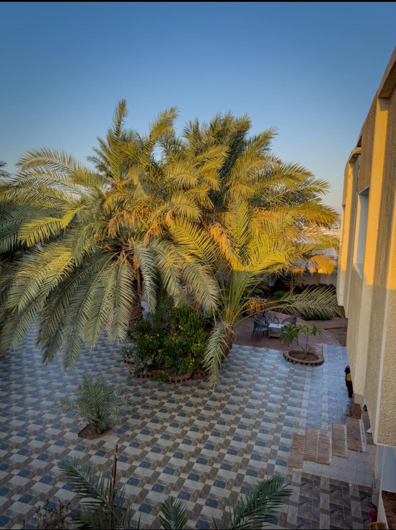 Miramar Camp Dahab Hotel Exterior photo