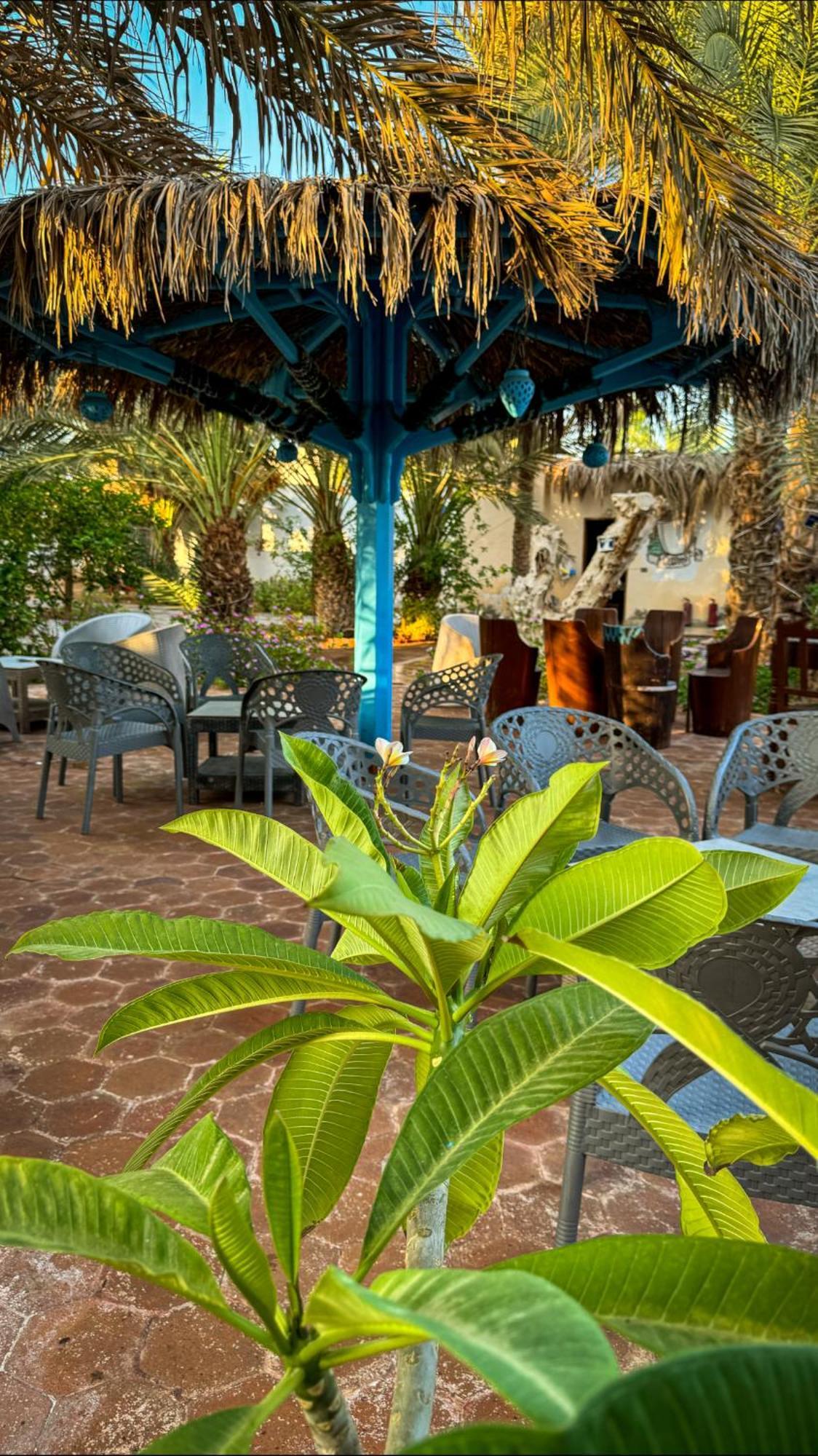 Miramar Camp Dahab Hotel Exterior photo