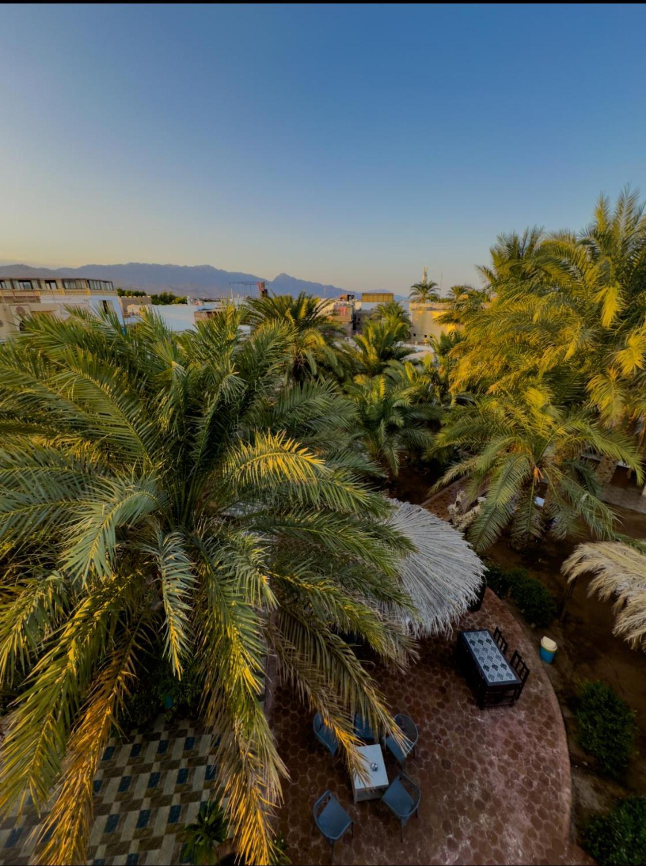 Miramar Camp Dahab Hotel Exterior photo