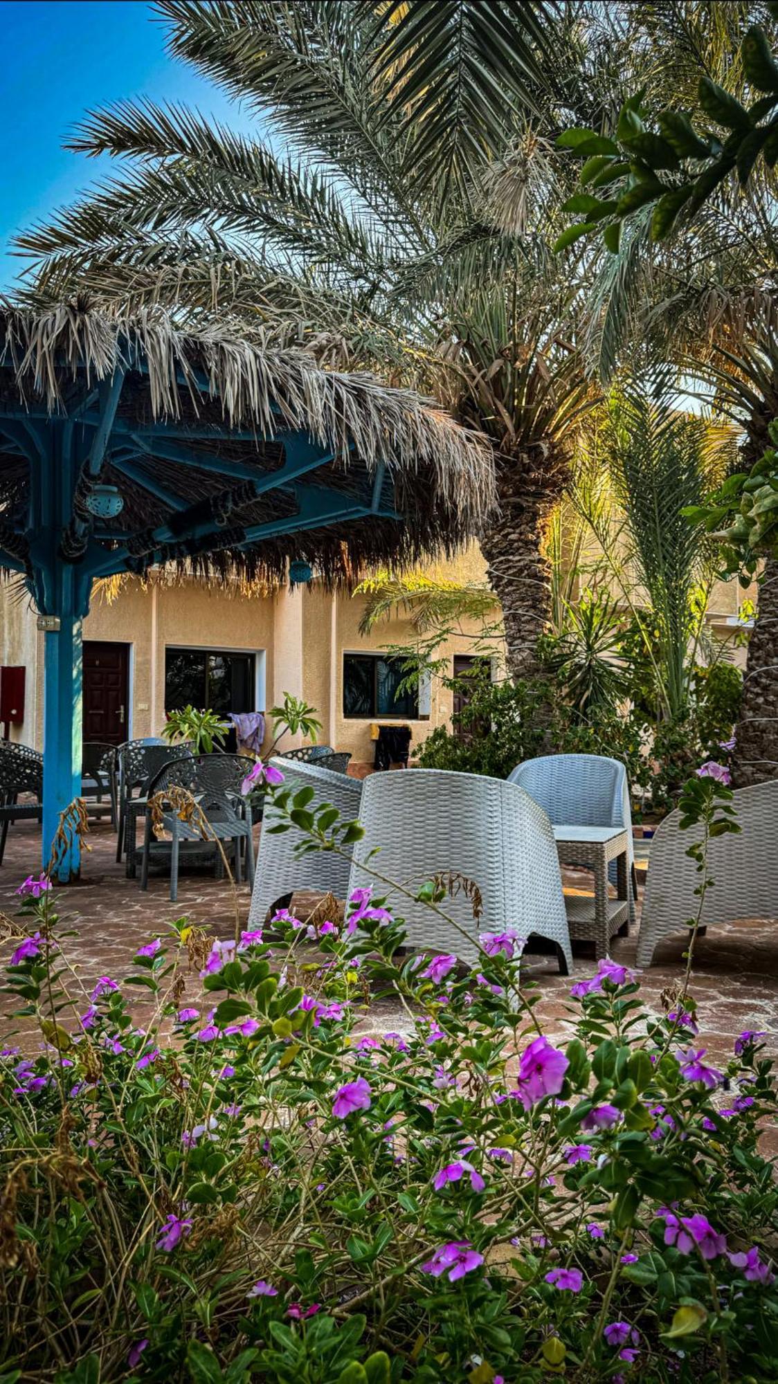 Miramar Camp Dahab Hotel Exterior photo