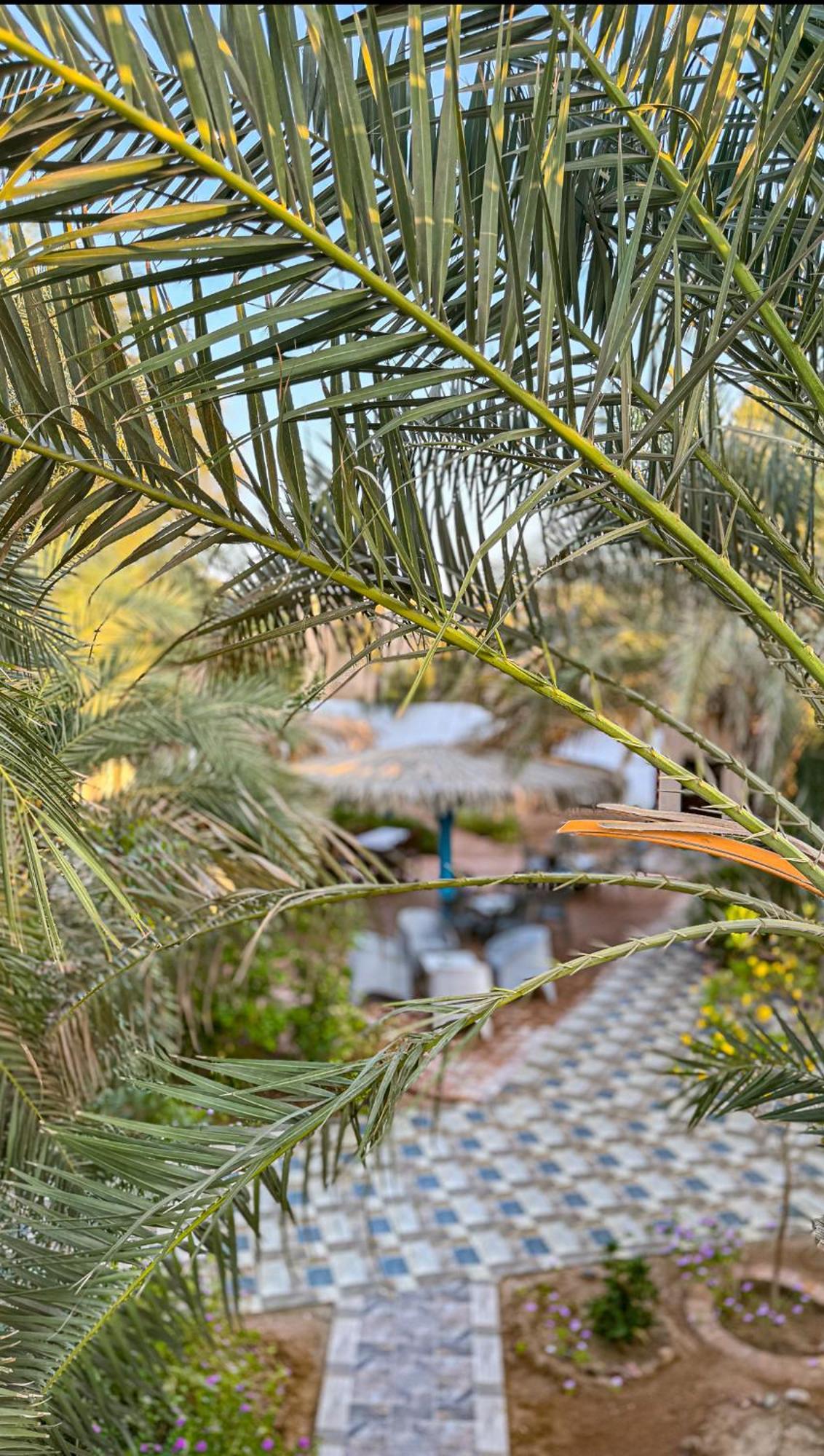 Miramar Camp Dahab Hotel Exterior photo