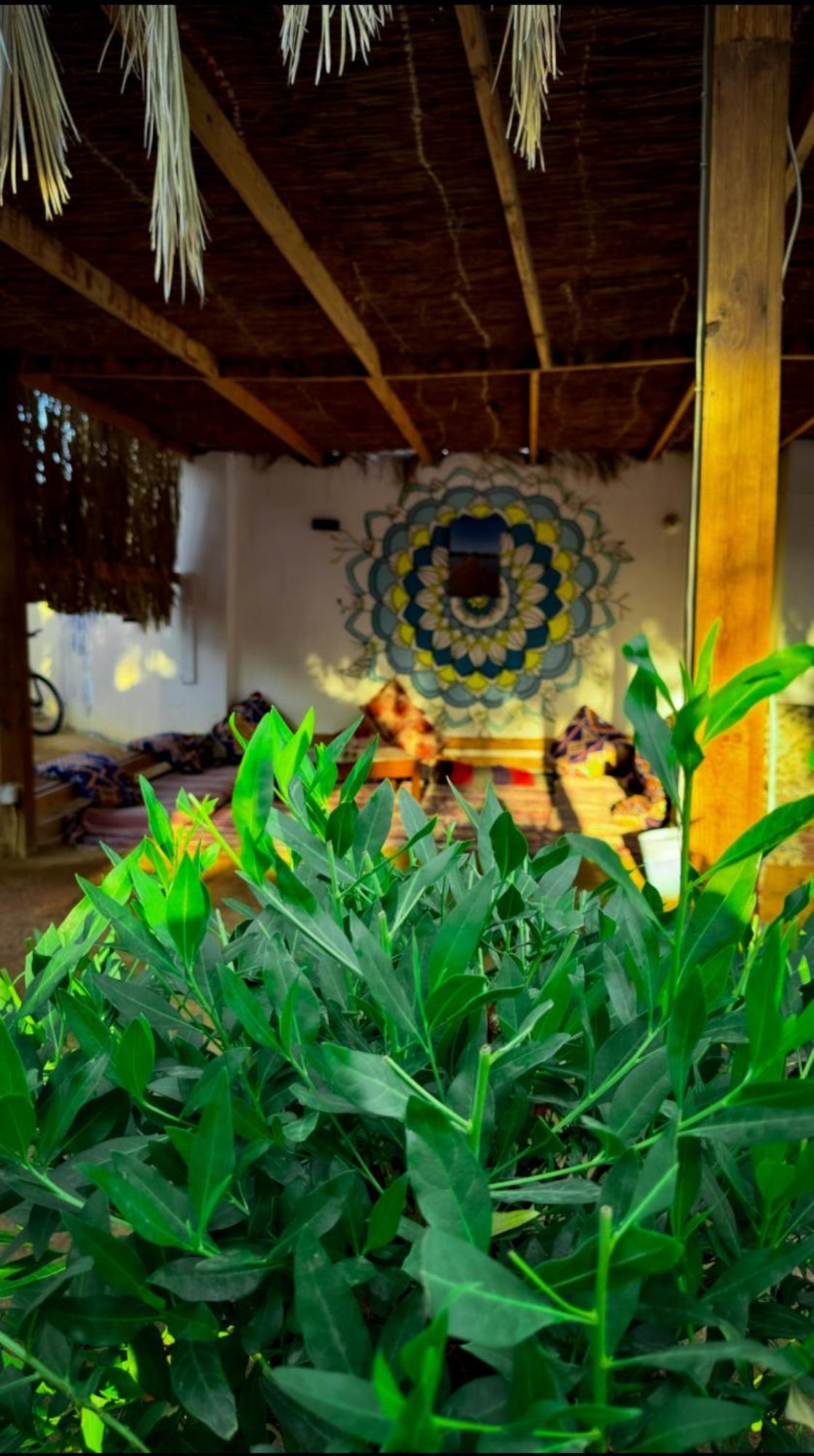 Miramar Camp Dahab Hotel Exterior photo
