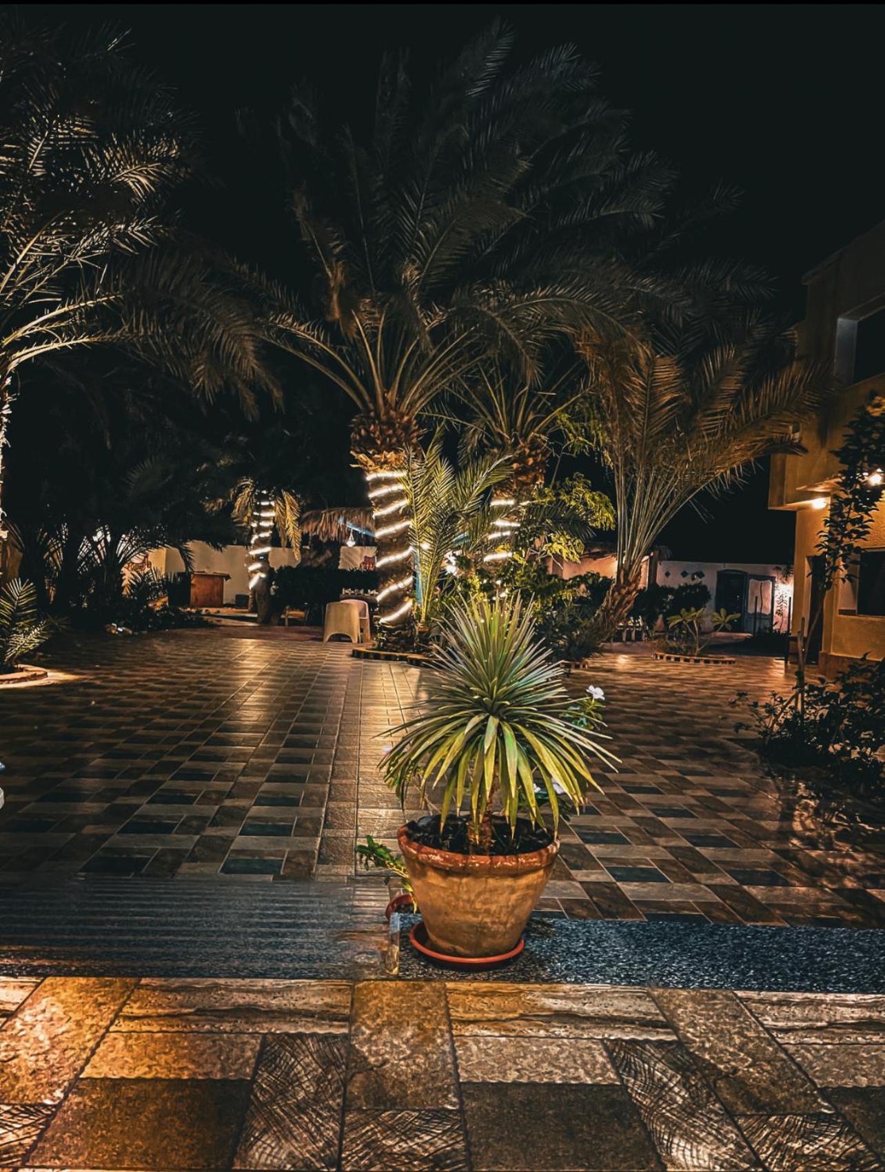 Miramar Camp Dahab Hotel Exterior photo