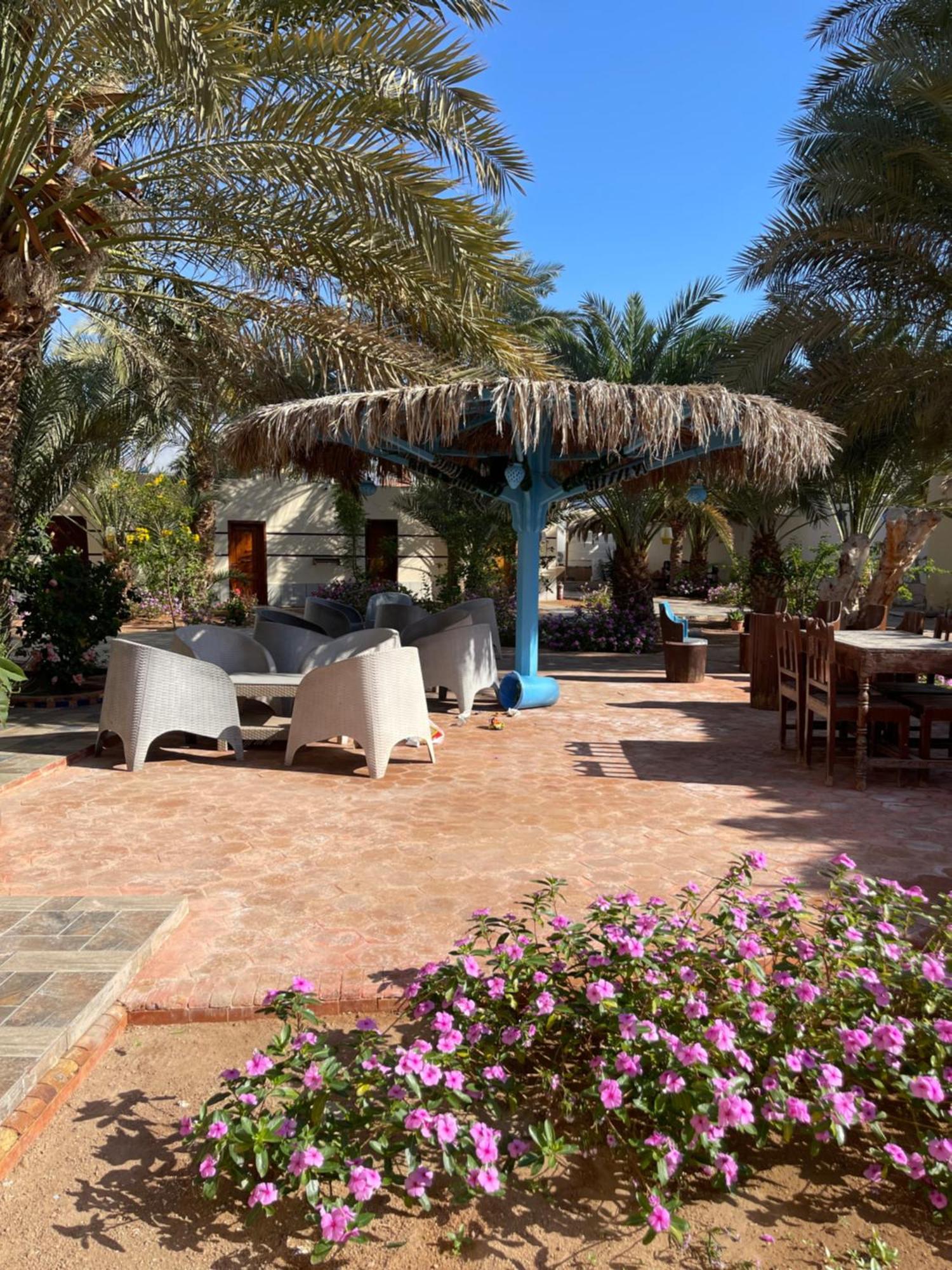 Miramar Camp Dahab Hotel Exterior photo